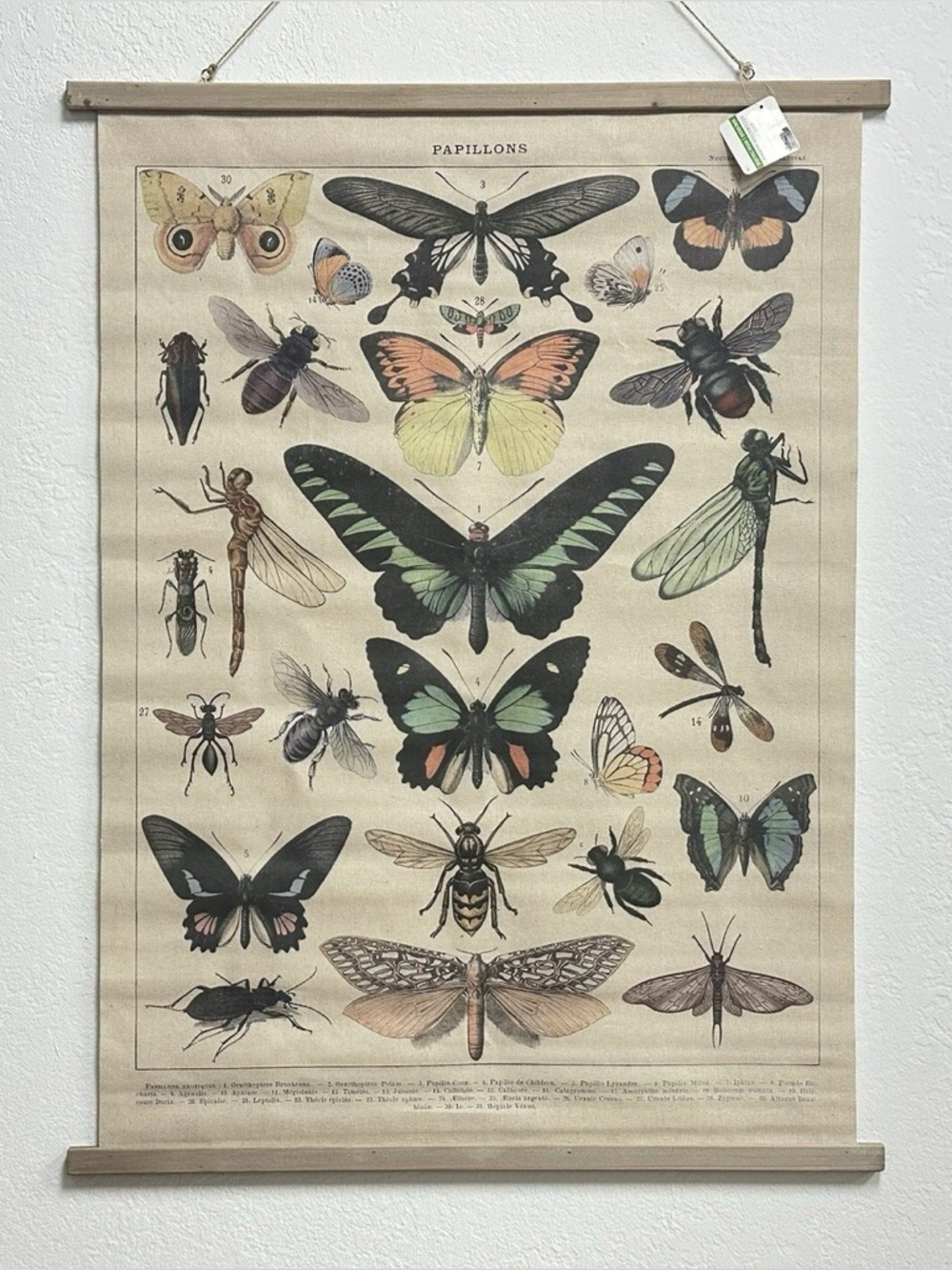 Michaels Butterfly Banner Canvas Scroll Boho Art Poster Wall Decor 29” W x 39” L